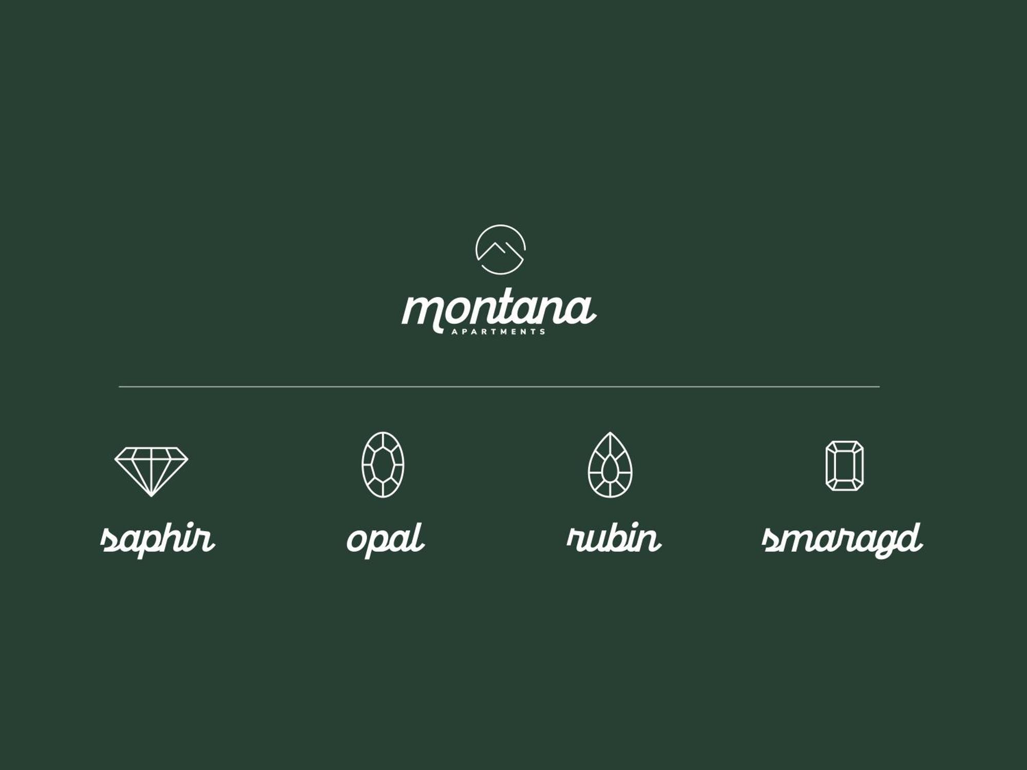 Montana Apartments مايرهوفن المظهر الخارجي الصورة